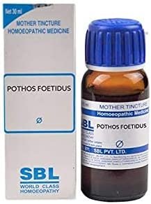 SBL Pothos Foetidus Mother Tincture Q