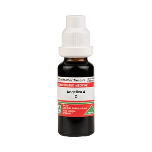 Angelica A Mother Tincture Q